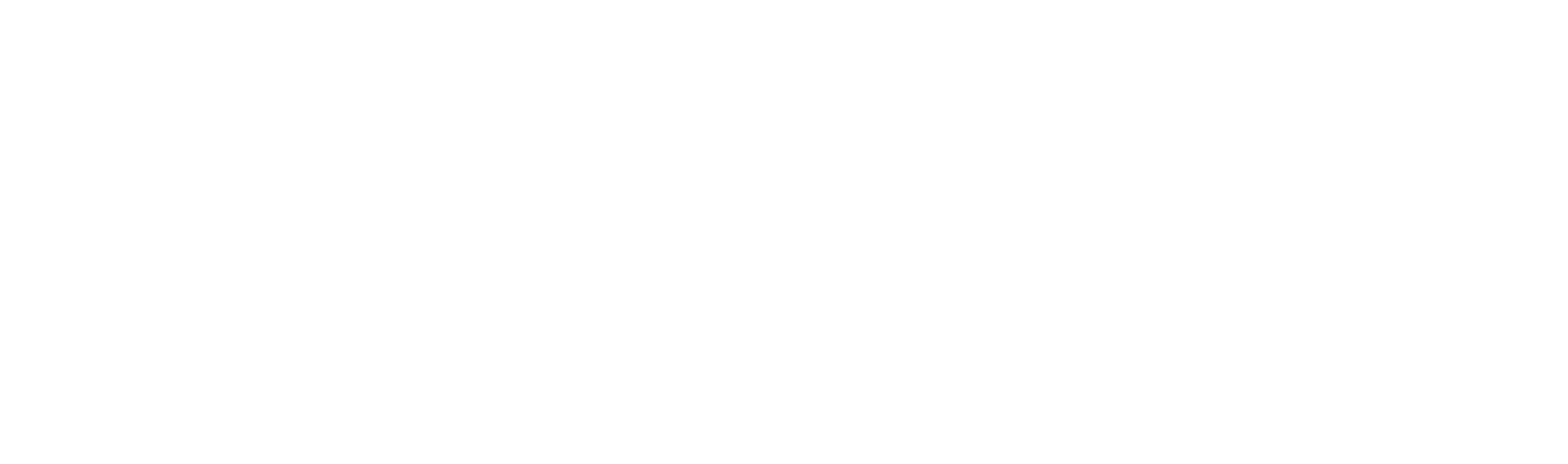 TTS Tax Software Logo